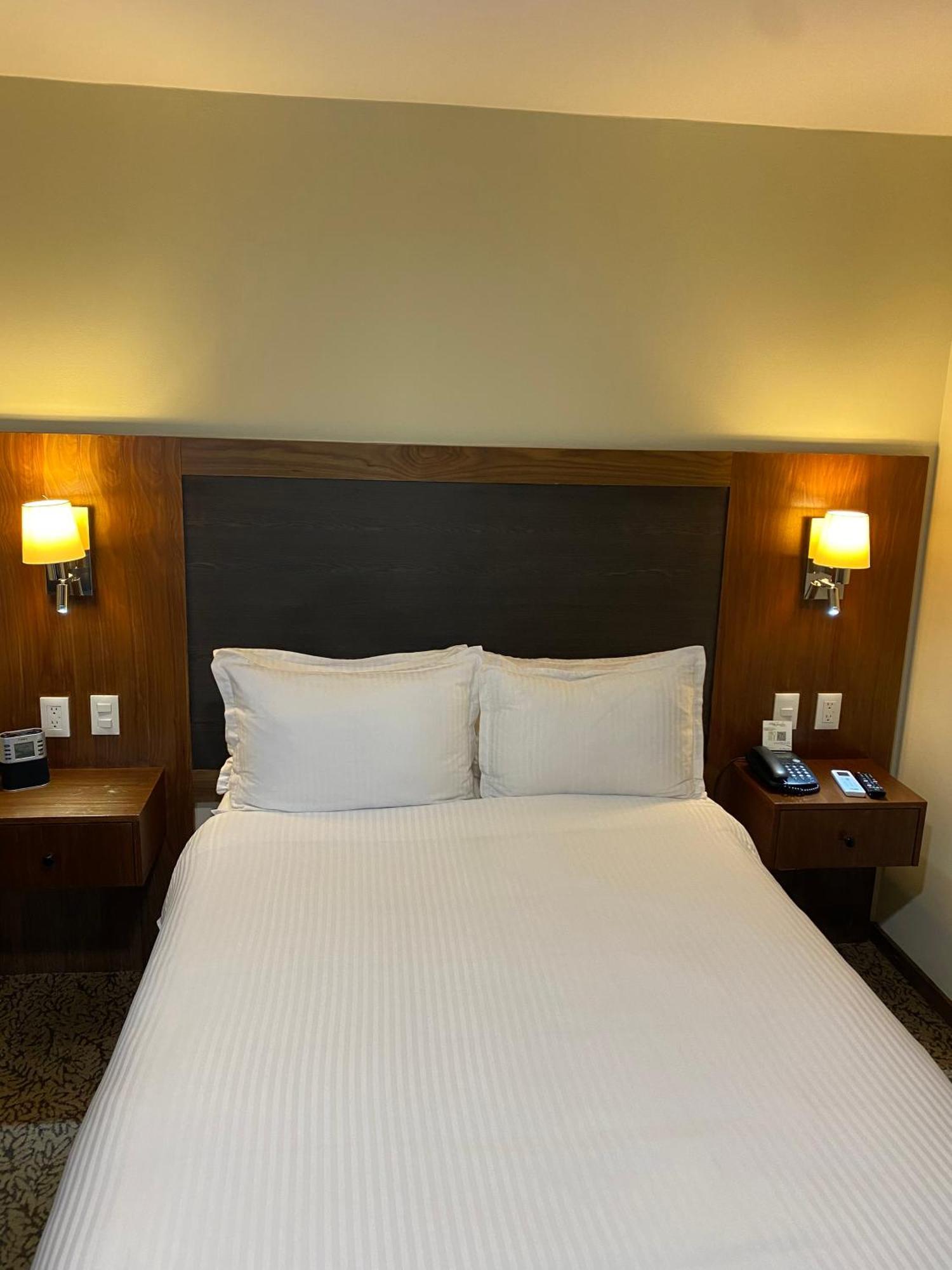 ホテル Wyndham Garden Mexico Reforma エクステリア 写真
