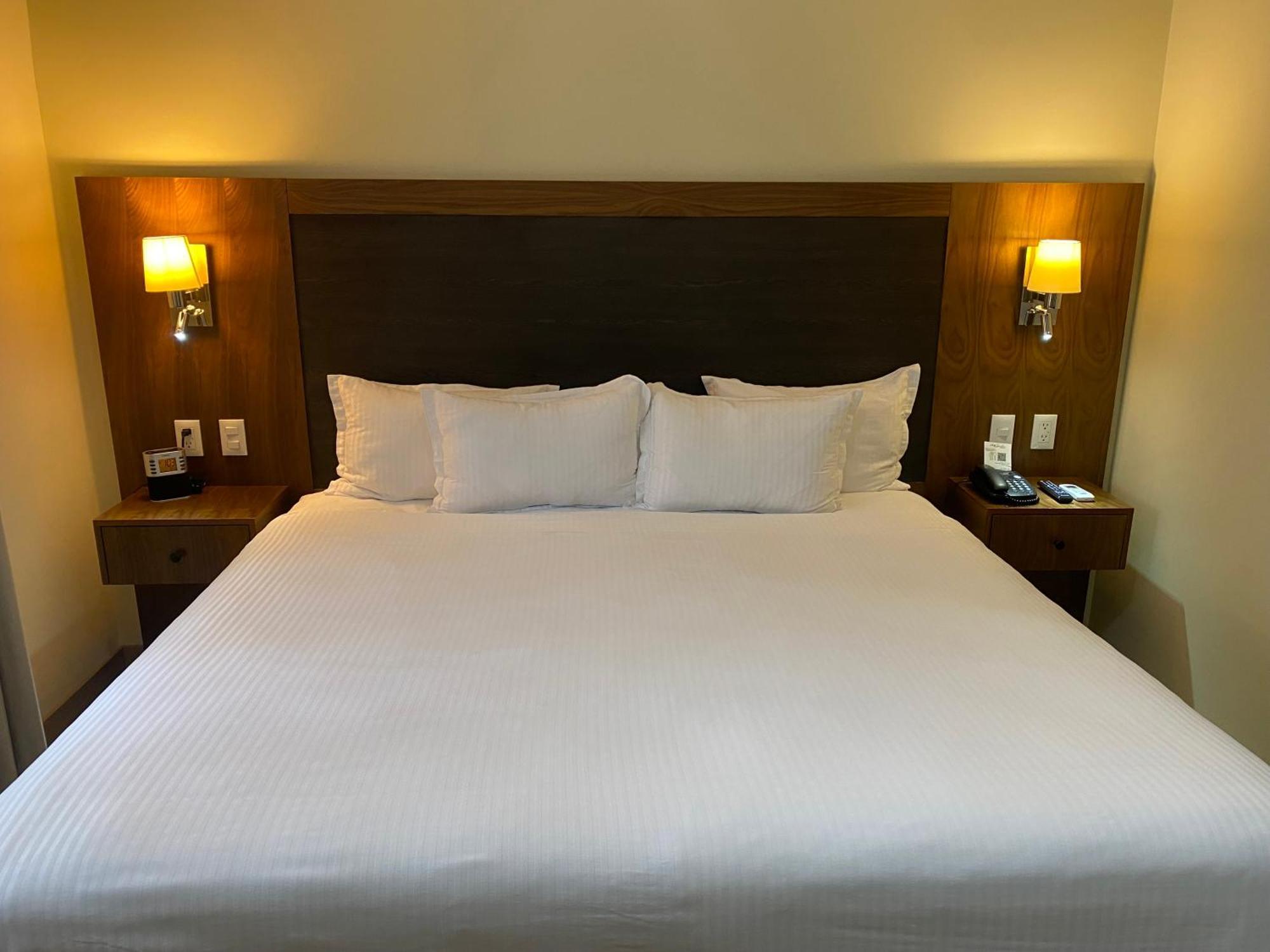 ホテル Wyndham Garden Mexico Reforma エクステリア 写真