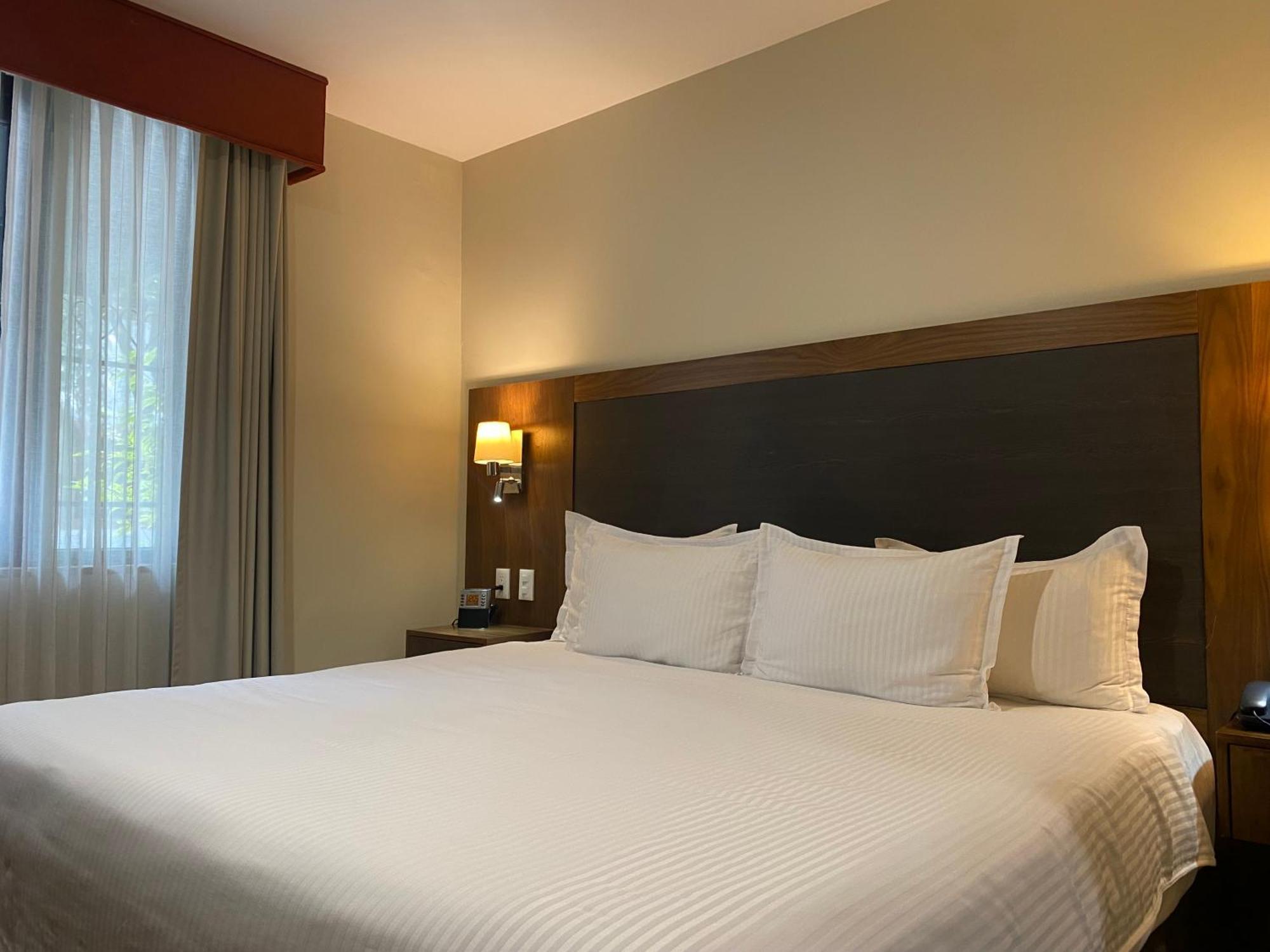 ホテル Wyndham Garden Mexico Reforma エクステリア 写真